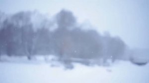 01 Александр Панайотов   Снег