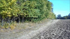 против лома нет приёма