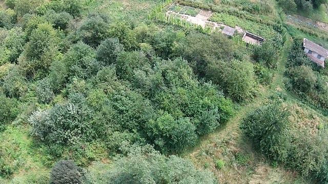 Дубляни дачі урочище «Карвати» смотреть онлайн