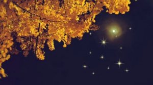 Красивая песня Шорохи осени Акапельно Сл  А  Киреев, поёт Ю Хлюбцева