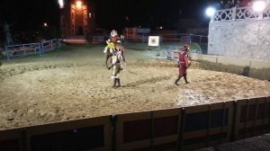 Замок Нессельбек. Рыцарский турнир.