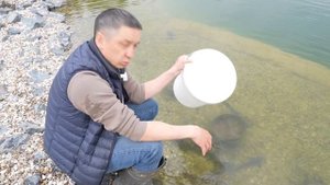 Стерлядь. Запускаю 40 килограмм стерляди в пруд.