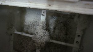 Аквачистка, стирка, реставрация подушек, пухо-перьевых изделий