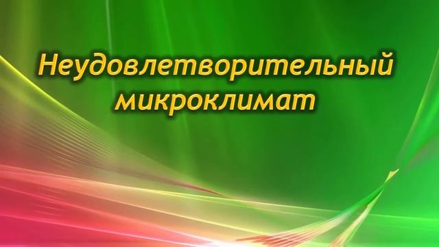 Почему Фикус сбрасывает листья? Как спасти фикус каучуконосный? смотреть онлайн