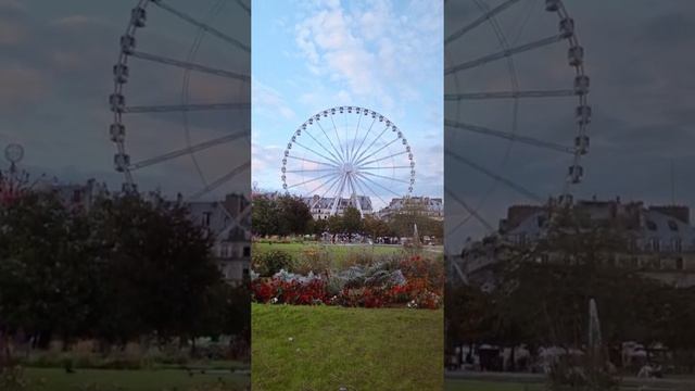 JARDIN DE TUILERIES PARIS