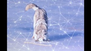 не говори мне хватит, снимай своё платье.