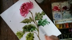 Акварель.Рисование. Хризантема.Творчество.Живопись.