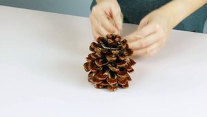 Бегом на Огород! Классные Лайфхаки для Дачи - Экономим Деньги, Время и Силы