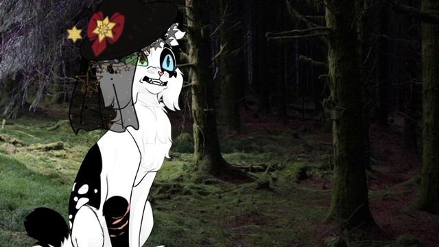 Реакция на Няшеньку-Розоволапку @l.kill.you339