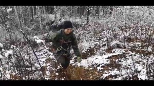 Армейская зарядка