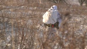 Под Рязанью снайперы отработали навыки стрельбы