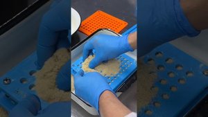 Как производится и фасуется в капсулы Ежовик Гребенчатый. Производство в цехе в Крыму #ежовик #гриб