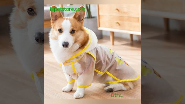 Corgi raincoat