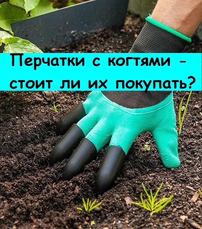Перчатки с когтями для рыхления для меня стали необходимым инструментом ...