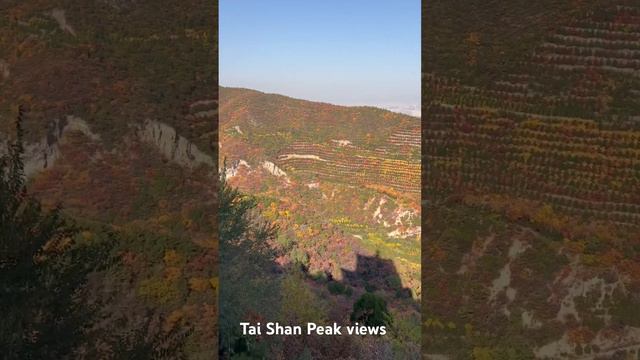 Tai mountain peak vista #china #travel #vblog