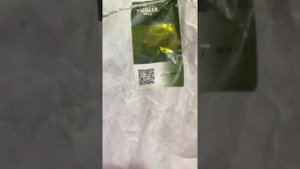 Проверка подлинности по QR коду
