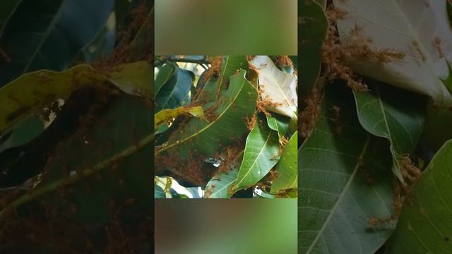 Размер имеет значение? смотреть онлайн