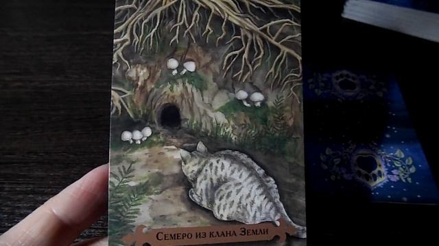 Гадание на 31 марта 2020 года. Карта дня. Таро Мистических Кошек. смотреть онлайн
