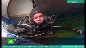 Как работают и тренируются водолазы МЧС