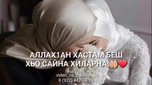 Х1АР ДЕШНАШ ЛЕРИН ДУ, ШЕ ХЬОМЕЧУ НЕНЙИШИН, И ЙИНЧУ ДЕНЦА ДАГГАР ДЕКЪАЛ ЕШ, ЦУЬН ЙИШИЙ ЙО1ЕР❤