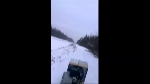 Первая поездка на мотособаке.