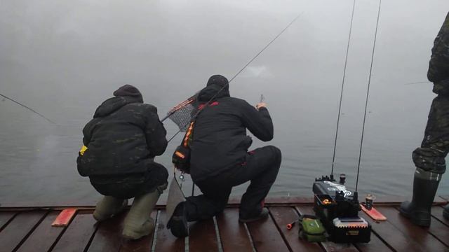 2.11.21 Ежедневный запуск форели ,спорт-зона и основной водоём! смотреть онлайн