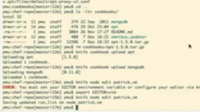 Add MongoDB to the Run List смотреть онлайн