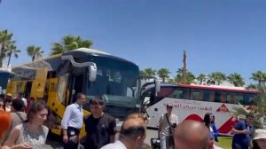 Прибытие наших гостей из аэропорта, встреча в отеле Sunrise Remal Beach (Египет, Шарм-Эль-Шейх)