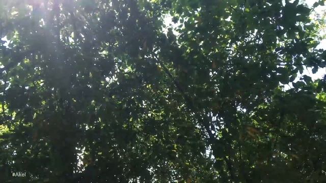 AkelFashion смотреть онлайн