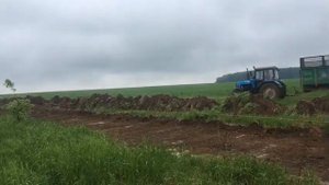 Утро Матчино исток водоёма
