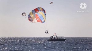 Лесные животные + ШИЗА =