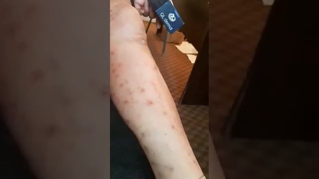 QAZ LIFE смотреть онлайн