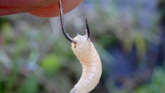 Почему зимой никто так не ловит? смотреть онлайн