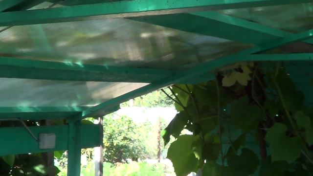 Водоём с рыбками у нас на дачи Всем друьям нравися смотреть онлайн