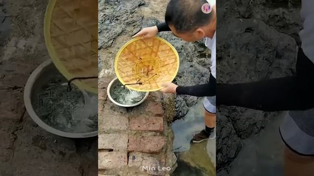 Catching Seafood ?? Satisfying Sea Animals - Tik Tok #261 смотреть онлайн