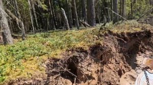 Поймать рыбу во вторую воду #1 Дорога всё интересней