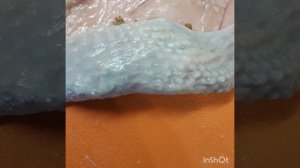 Что я готовлю из курицы. Кожу не выбрасываю. Рулетики из куриной кожи с начинкой из гречки с грибам