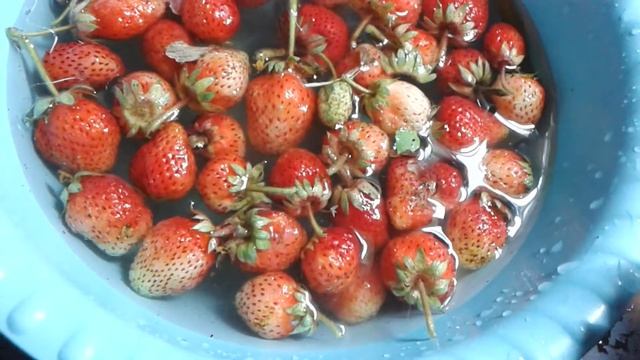 Нашествие маленьких слизней на клубнику смотреть онлайн