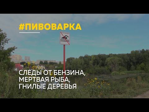В каком состоянии находится река Пивоварка, которая течёт через весь Барнаул?