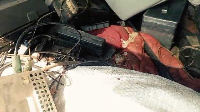 Радио подгон с чердака в Троицу смотреть онлайн