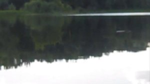 Херабуна. Поплавок. Плотва.17.06.2011