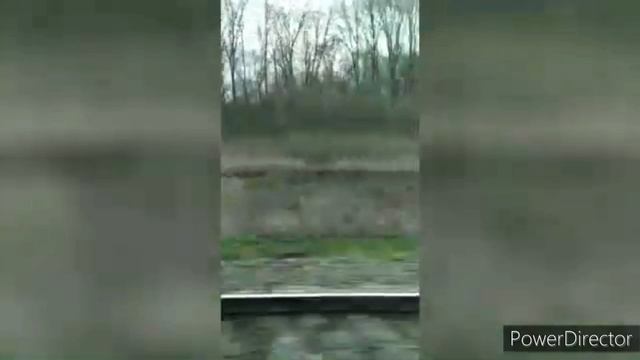 поездка на поезде ?
