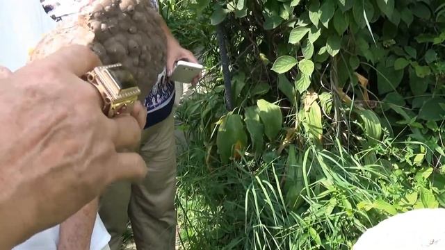 Уникальный, частный Музей "Сад камней" А. Шуваева/Хабаровск