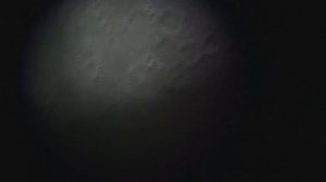 MOON VIDEO IN MY TELESCOPE C8 AND SONY CX105 HD