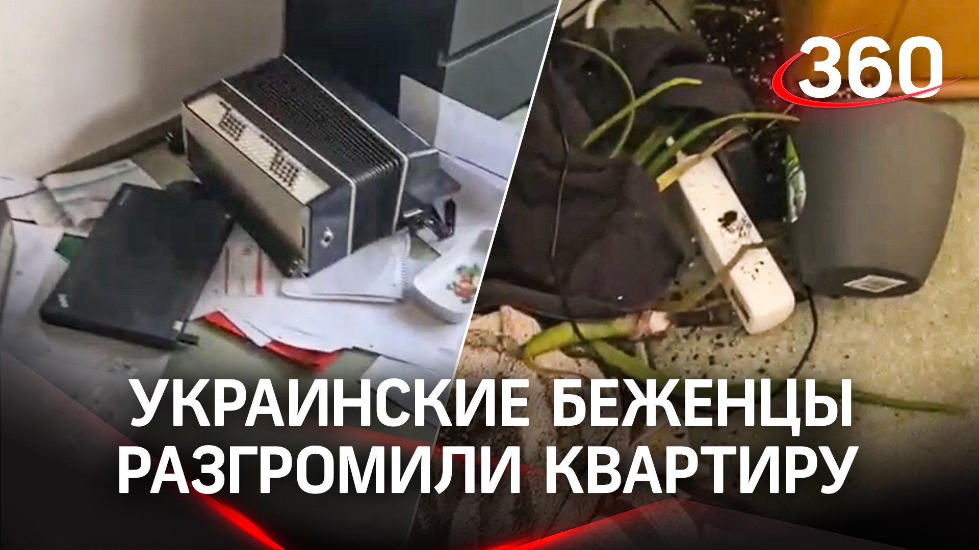 Смотреть со звуком! Украинские беженцы разгромили квартиру жительнице Германии