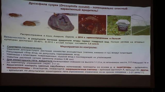 Болезни и вредители голубики, клубники (часть 2 из 3) смотреть онлайн