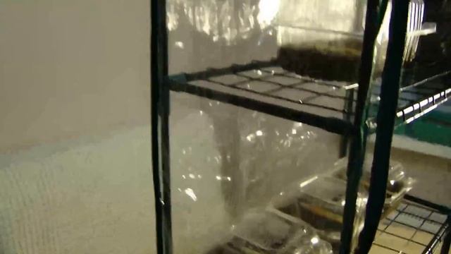 ПАРНИК НА ПОДОКОННИК смотреть онлайн