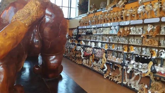 Парк Львов Тайган. смотреть онлайн