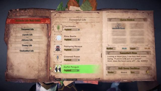 MHW Iceborne: Large Gold Crown Duffel Penguin Location смотреть онлайн