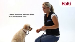 Недоуздок для собак Halti Optifit